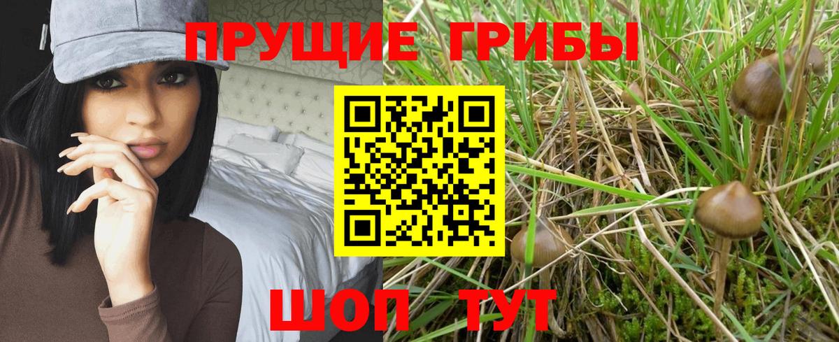 Галлюциногенные грибы мухоморы  Псилоцибиновые грибы мухоморы  Вход с VPN  закладка  Абакан 