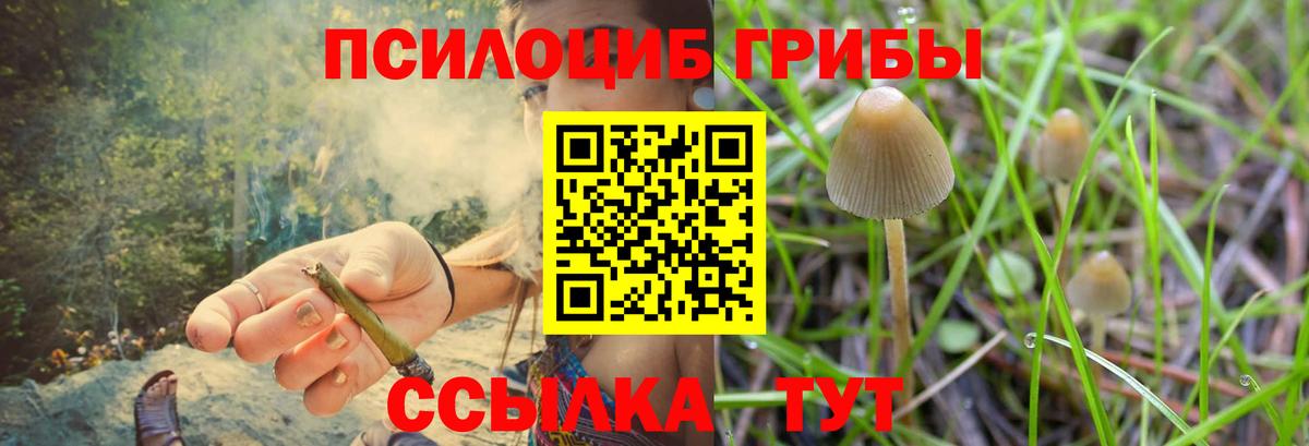 Галлюциногенные грибы ЛСД Абакан