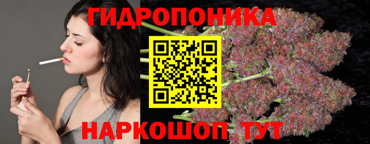 Каннабис индика Абакан